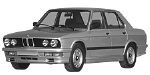 BMW E28 P2450 Fault Code